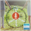 https://italianostandard.com/pillole-canzone-pacifista/