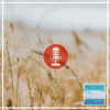 https://italianostandard.com/pillole-canzoni-grano/